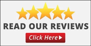 King David tours reviews